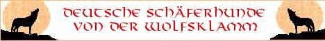 [Bild: flyer1.jpg]
